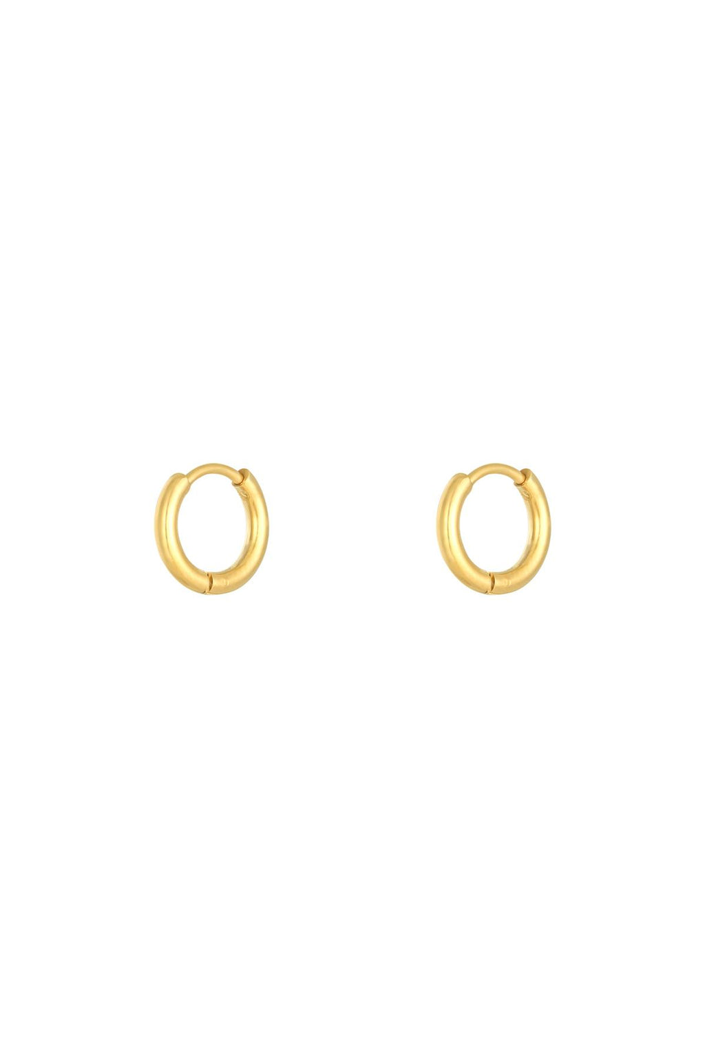 Oorbellen Little Hoops 1,2cm Goud kleur Stainless Steel