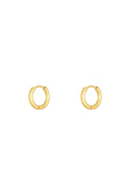Oorbellen Little Hoops 1,2cm Goud kleur Stainless Steel