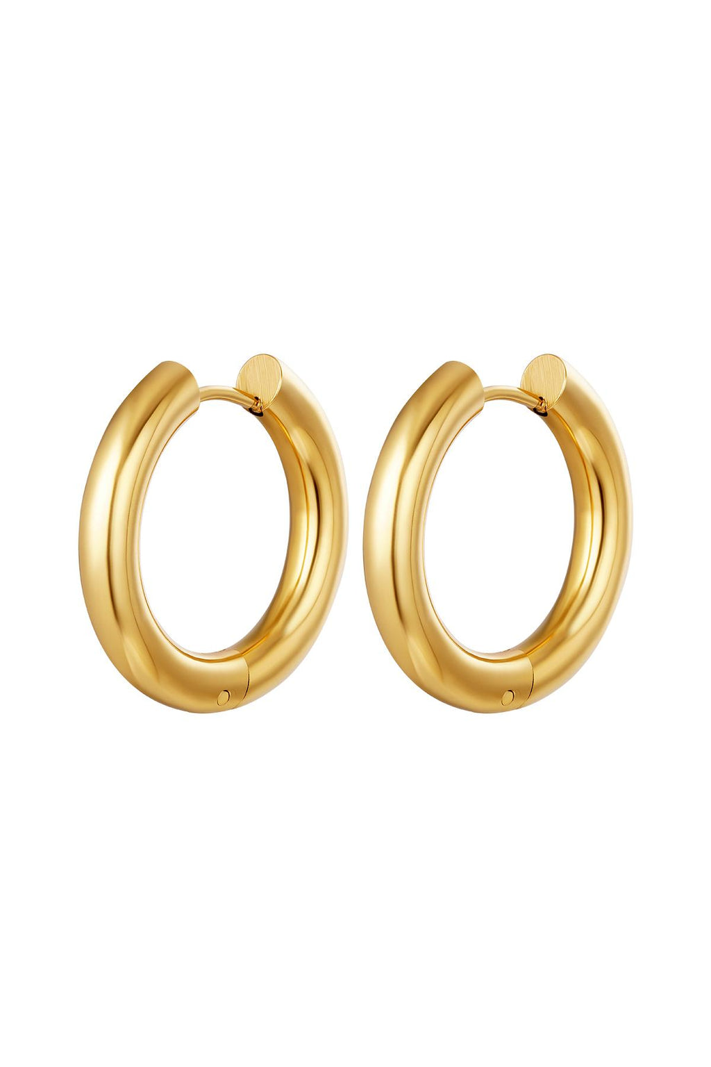 Basic creolen oorbellen - large Goud kleur Stainless Steel