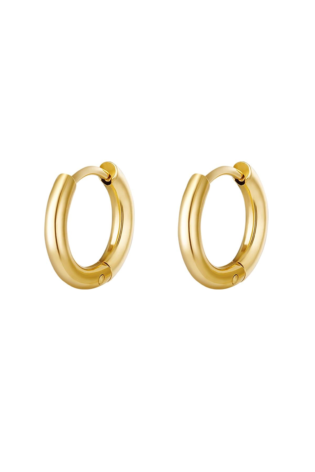 Creolen simpel S Zilver Stainless Steel