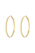 Basic Hoop earrings think L