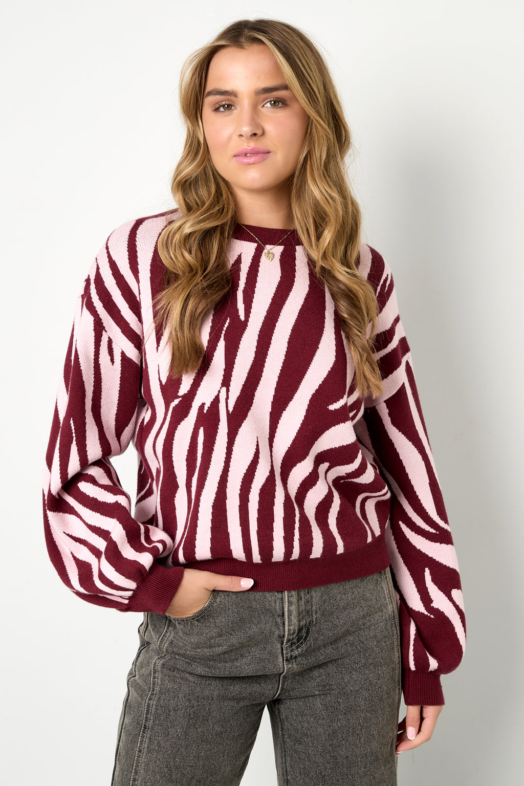 Gebreide truien Zebrastrepen Casual herfst/winterkleding
